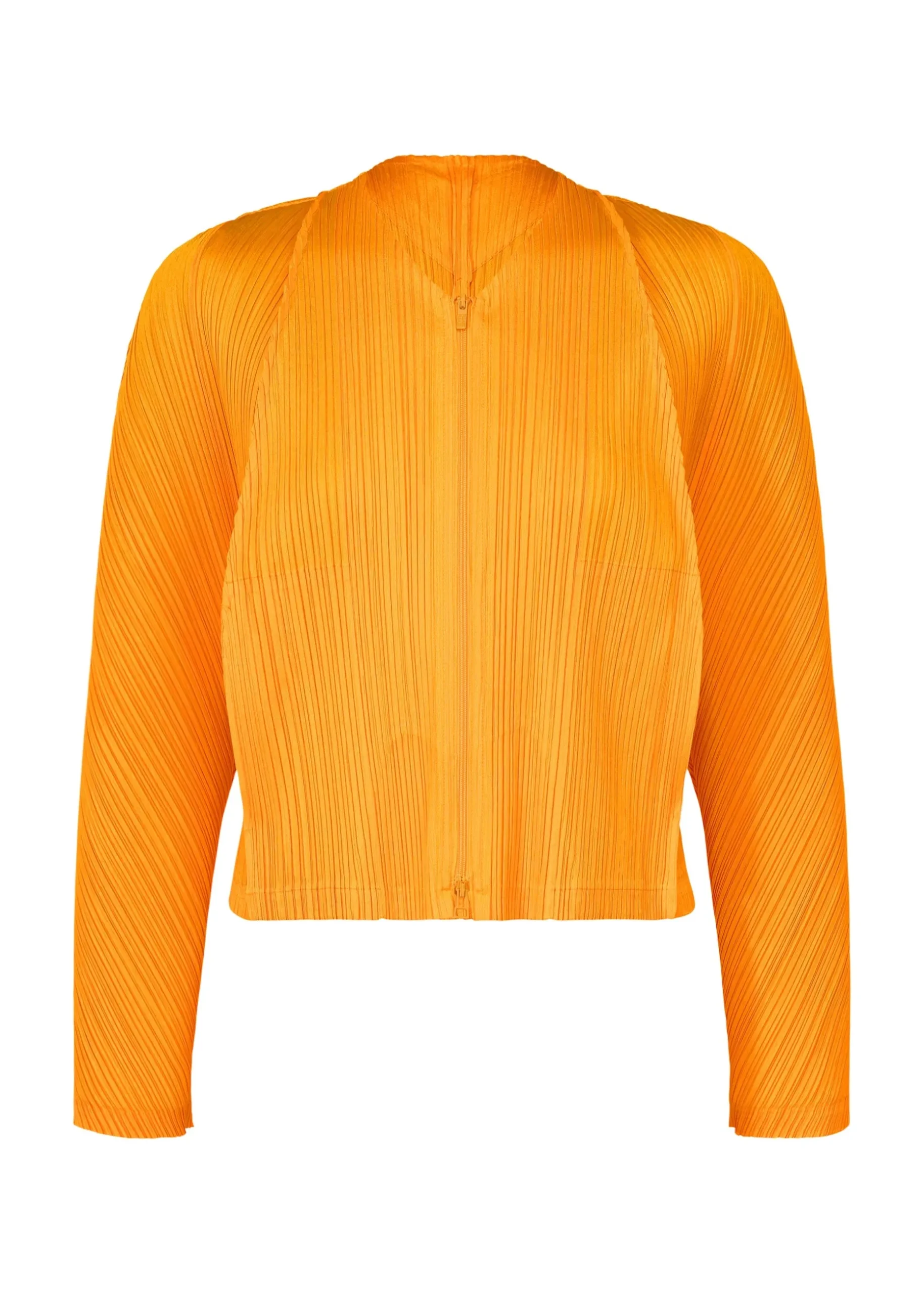 lantern_1.webp LANTERN