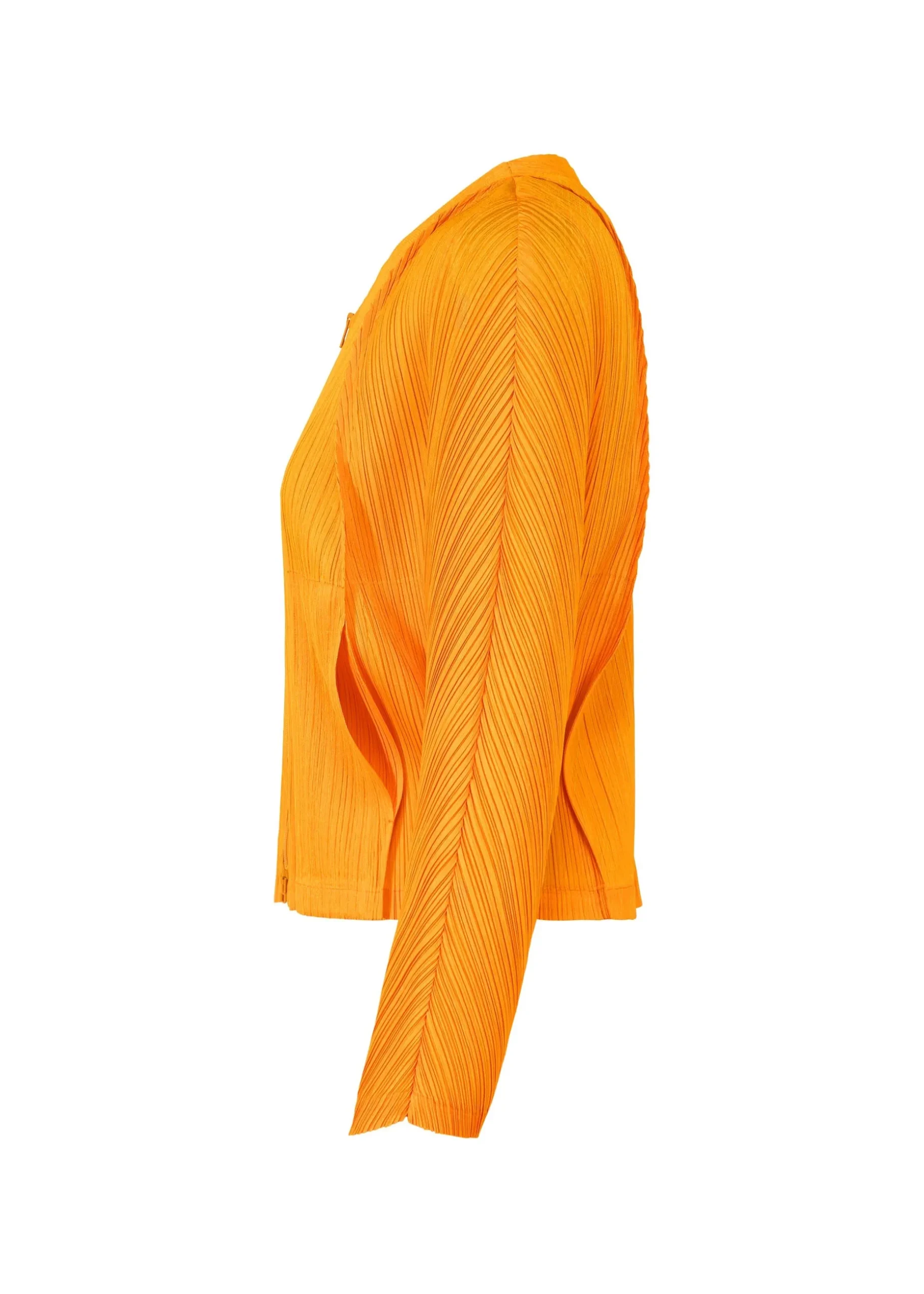 lantern_4.webp LANTERN