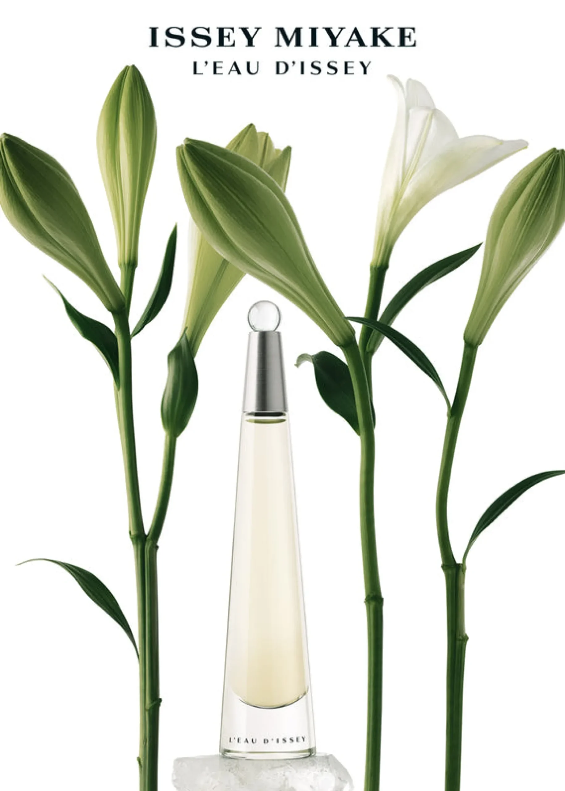 leau_dissey_eau_de_toilet_2.webp L'EAU D'ISSEY EAU DE TOILETTE 50mL