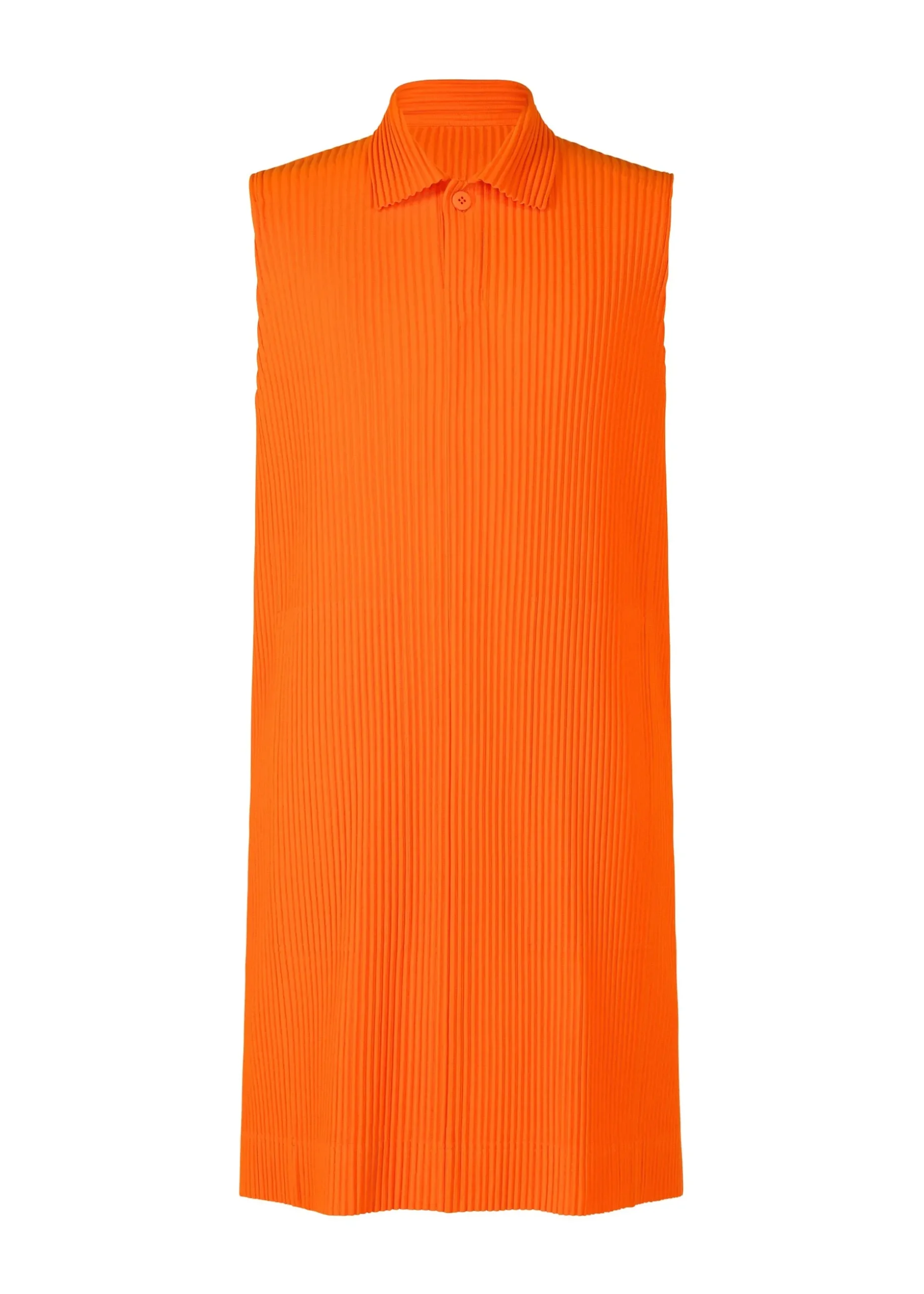 monthly_color_february_2-1.webp MONTHLY COLOR FEBRUARY