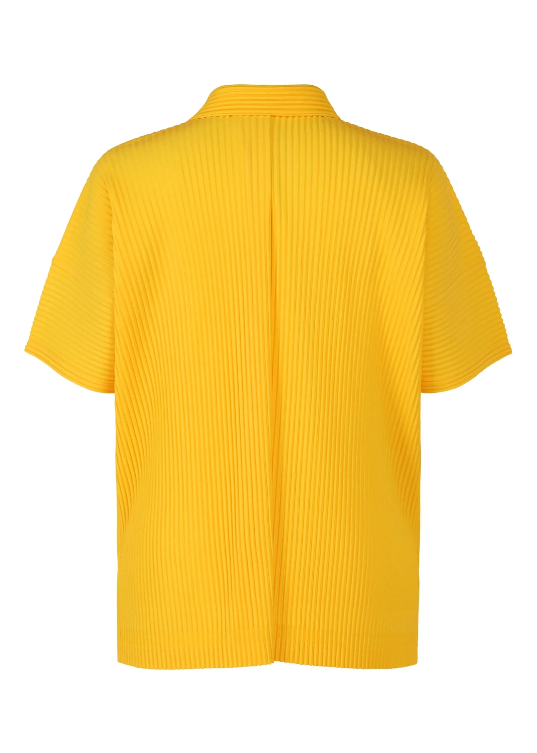 monthly_color_july_4-2.webp MONTHLY COLOR JULY