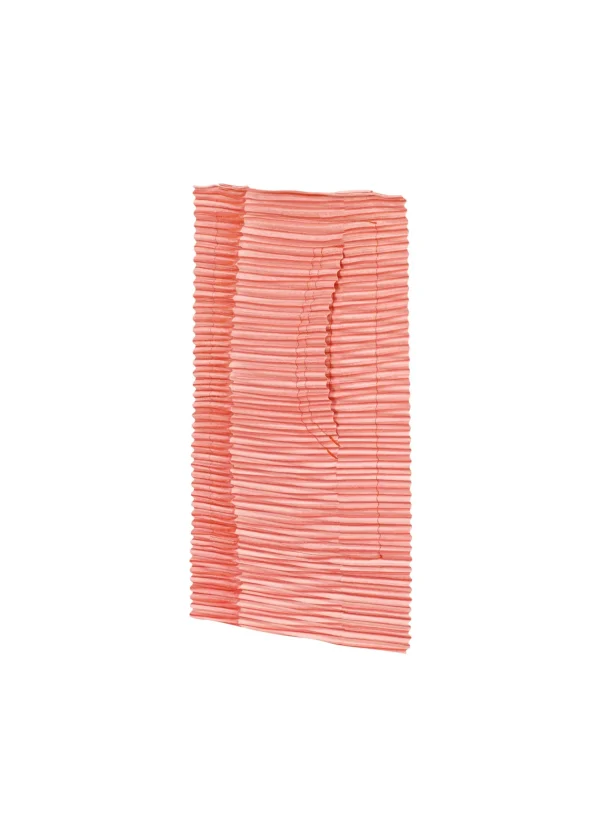 RB_ALL OVER PLEATS BAG