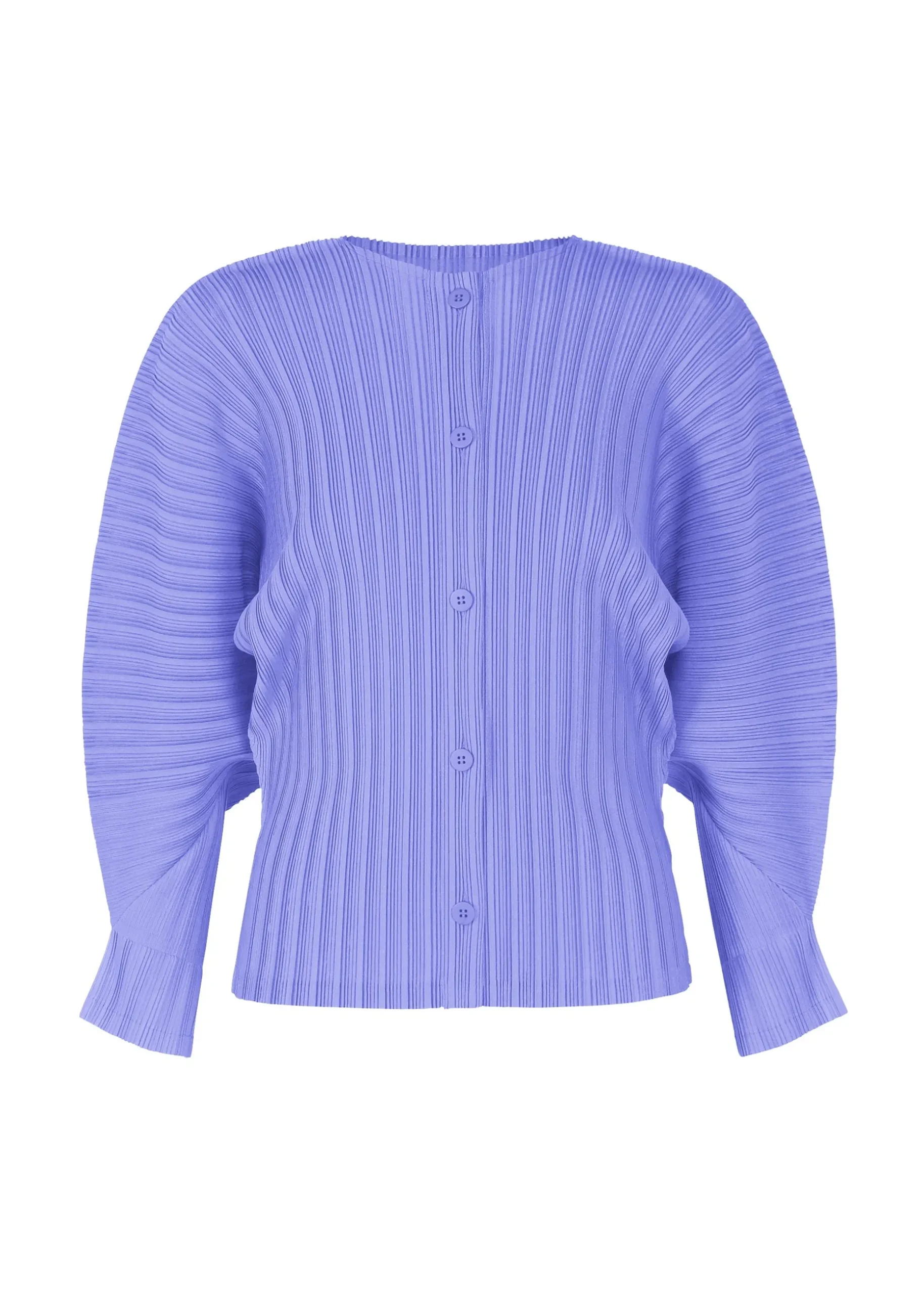 rib_pleats_february_1.webp RIB PLEATS FEBRUARY