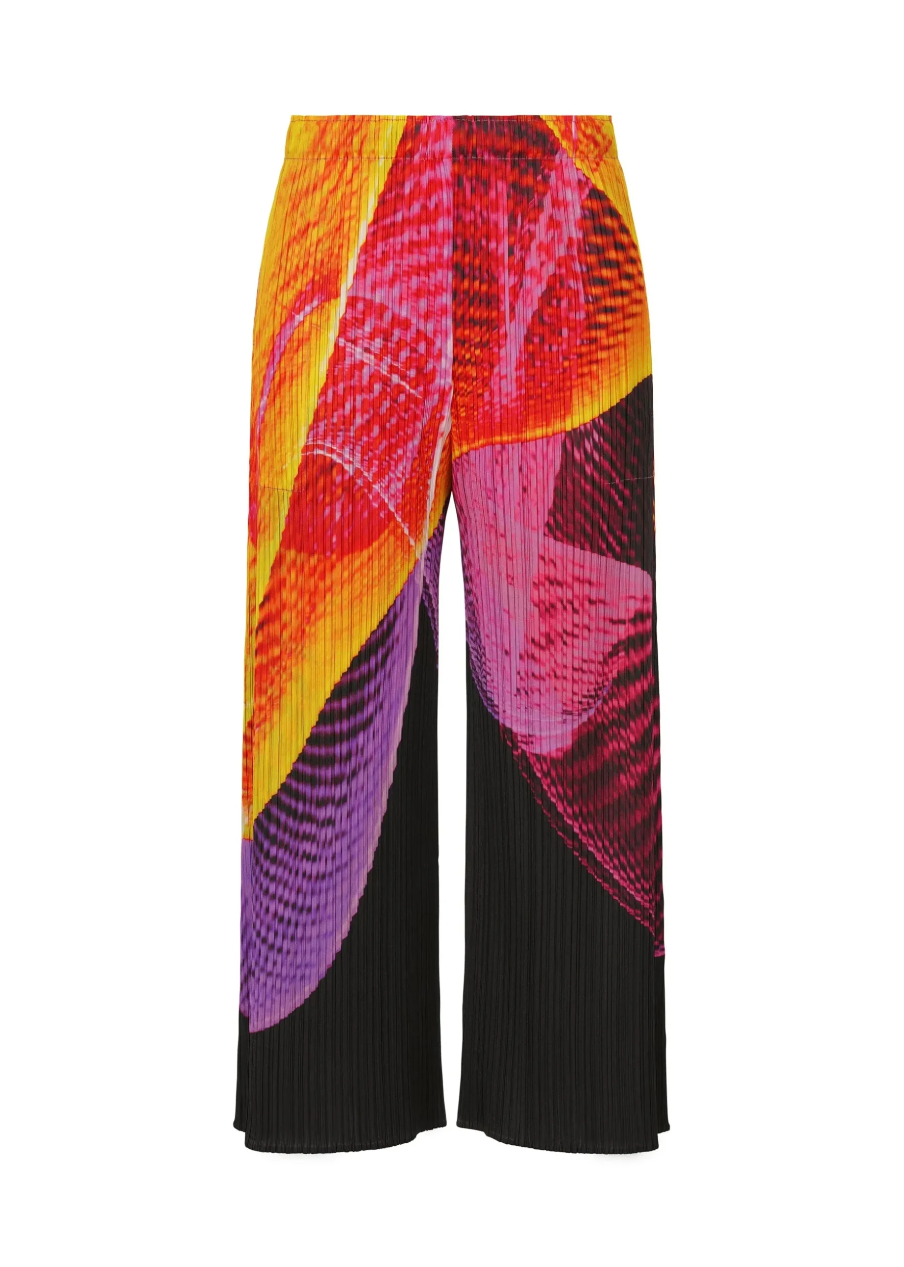 spectrum_1-2.webp SPECTRUM